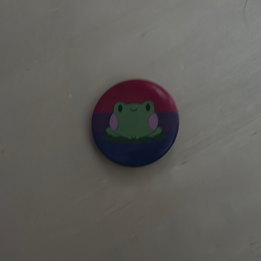 Cute bi Frog Pin
